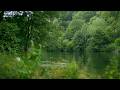 Secrets Of The River Thames Wildlife History Documentary