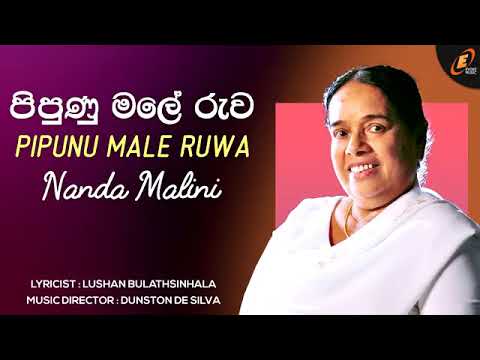 Pipunu male ruwa (nanda malani)