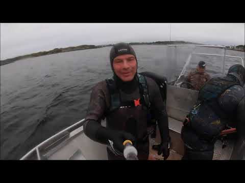 Norway 2021 - pollock, hallibute, scallops, cod, mackeral, brown crab - Rørvik