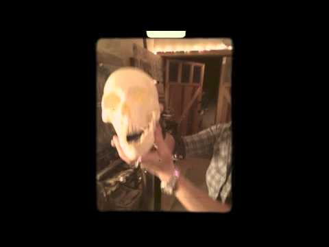 The Cold and Lovely - "Ellis Bell" EP - September, 2013!