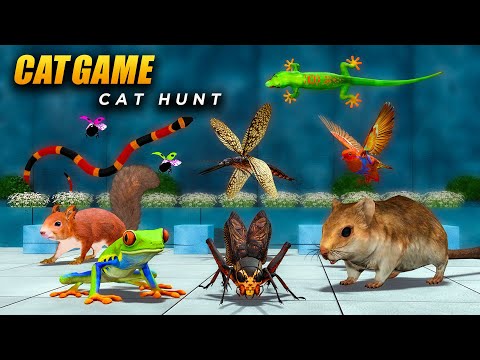 CAT Games | 8 Hours Ultimate 3D CAT TV | Epic Videos for Cats – More! 😻 4K60FPS