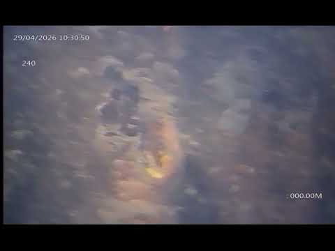 Extracto 240 - Angaco - San Juan