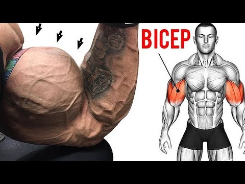 BEST BACKEXERCISE HASHTAGS Arms #Shoulders #Triceps #Biceps #Forearms #muscles #Exercises #Workout🏠💪