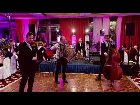 Zasedba Kranjci - Prodajalka vijolic (inštrumentalna verzija)