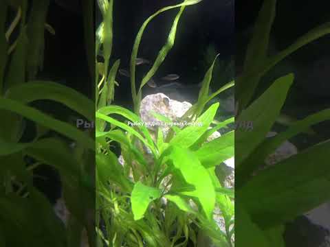 16 февраля 2022 г.