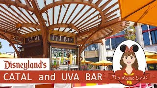 Catal and Uva Bar at Downtown Disney