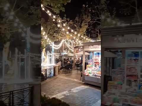 450 W. Doran St. Glendale CA property video