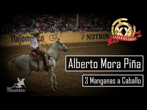 3 Manganese Horse Riding - Alberto Mora - XX Millionaire THV Championship 2017
