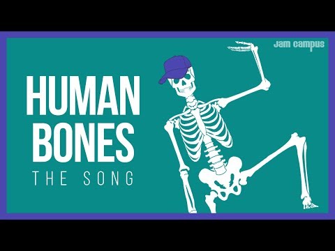 THE HUMAN BONES SONG | Science Music Video