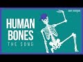 THE HUMAN BONES SONG Science Music Video
