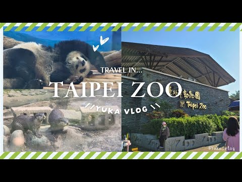 【木柵動物園】冬天晴天散步 Vlog｜INFJ 在台北市立動物園被動物療癒的一天｜晴天散步日記