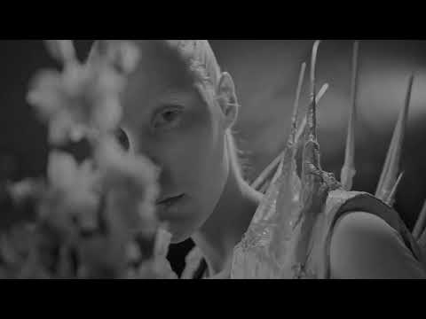 AMBIENT LIGHT x GREENCYDE = ABSORB THE WHITE NOISE [Music Video]