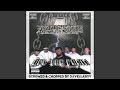 Down South 2 (feat. Hawk & Yungstar)
