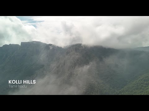 Herbal Isolates- Rooted in Sustainability