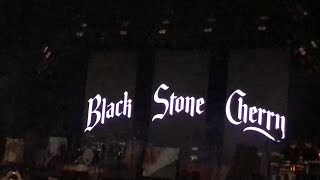 Black stone cherry @ Manchester Arena 10/12/18 (James Brown)