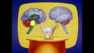 Pinky And The Brain - S01E03 [Part 3/3] [Brainstem]