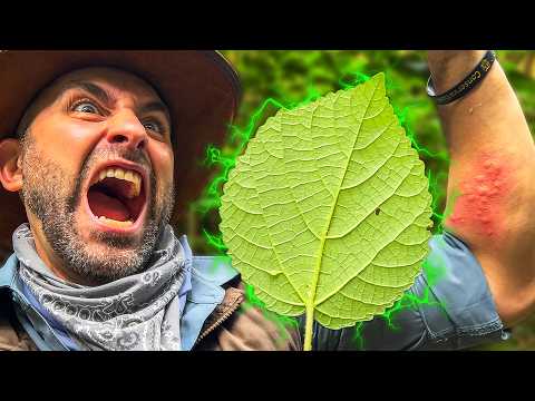 Coyote Peterson preview