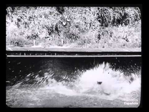 La pêche miraculeuse