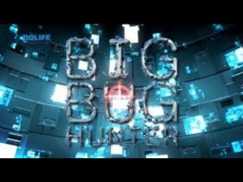 Big Bug Hunter #11 Mario Kart DS