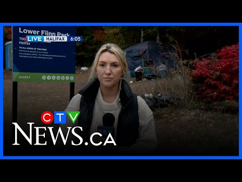 Halifax police investigating homeless encampment shooting