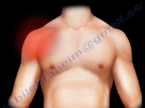 Comprehensive Shoulder Examination: Commonly Used Shoulder Tests