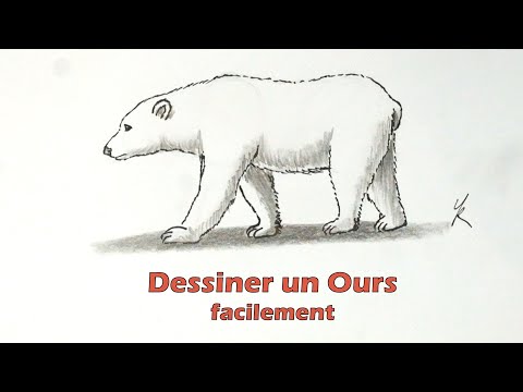 Comment dessiner un ours blanc facilement