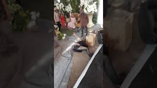 Download lagu KESURUPAN BANGBUNG HIDEUNG mp3