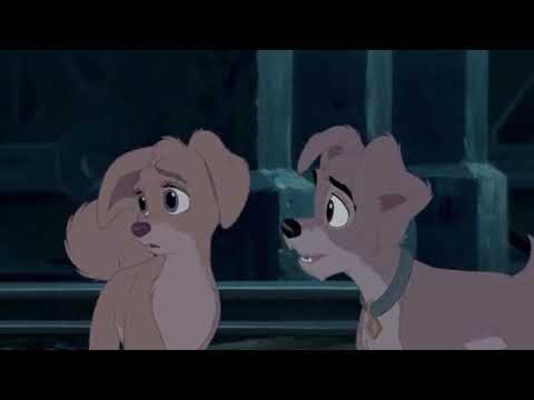 Bagheera and Company Part 9 - In the Kitchen/Abigail meets Bagheera