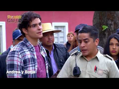 Pobre Gallo - Andrea y Borja Capítulo 4
