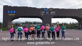 preview picture of video 'FLC Zoo - Safari Park Quy Nhơn - Golden Lìe Travel'