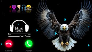 Download lagu New Message Ringtone 🔔 | Cute SMS Tone 2026 | Best Notification Sound | Mobile Ringtone #ringtone mp3 Download lagu New Message Ringtone 🔔 | Cute SMS Tone 2026 | Best Notification Sound | Mobile Ringtone #ringtone mp3