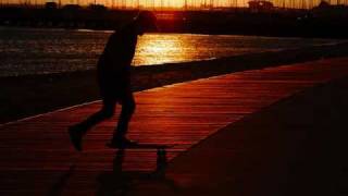 Why? - Sanddollars