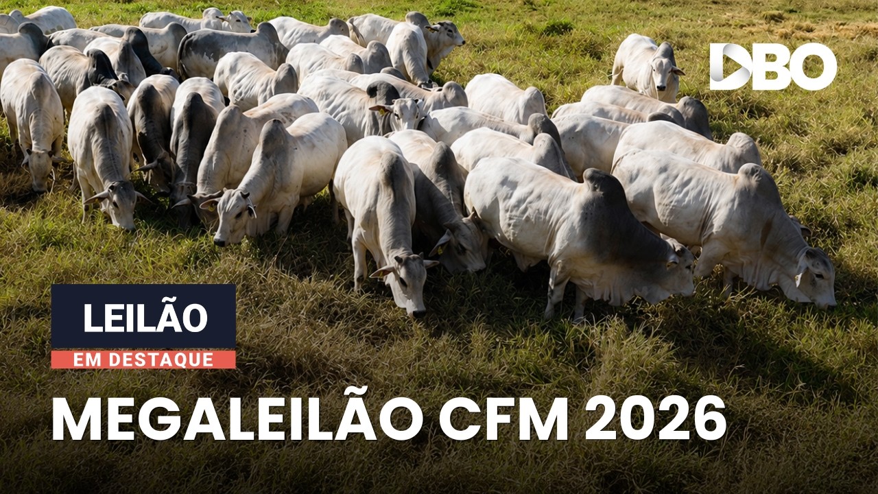 Tudo pronto para o 28º Megaleilão Agro-Pecuária CFM