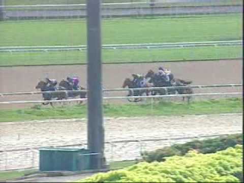 Honours Gift - Third Trial - 22 Sep