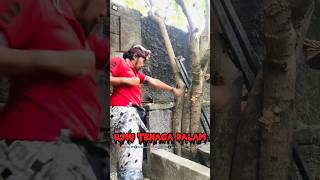 Download lagu Pukulan Jarak Jauh #shorts mp3