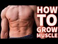 STRUGGLING TO BUILD MUSCLE? | 3 Pillars of Muscle Growth