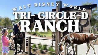 Tri-Circle-D Ranch Tour: Where Walt Disney World Horses Live