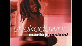 Soul Shakedown Party (Steve Hurley Remix)