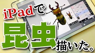 【ツクル】iPad Pro と Apple Pencil を使って ツマグロヒョウモン と ミヤマクワガタ を描いた。虫を嫌わないで【ibisPaint】