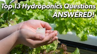 Top 13 Questions