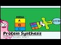 (OLD VIDEO) Protein Synthesis and the Lean, Mean Ribosome Machines