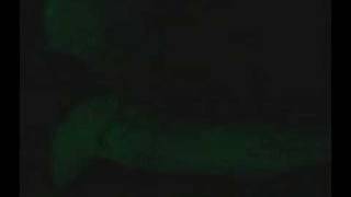 Demon Hunter - Not Ready To Die