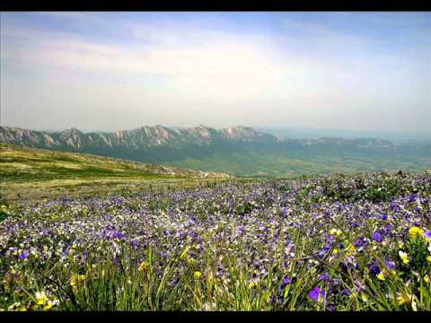 Павле Аксентијевић-Росна ливада