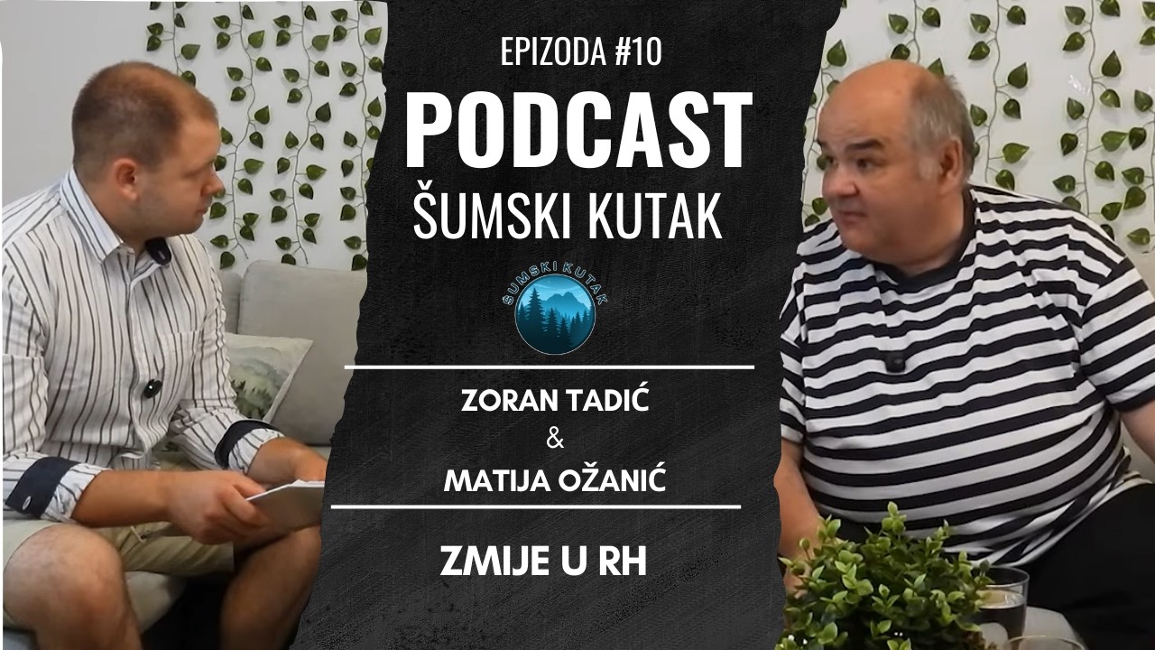 Podcast Šumski kutak----Zmije u RH (Zoran Tadić)