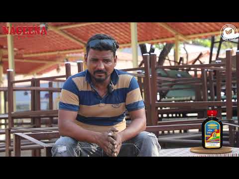 200ml Nageena Sukoon Ayurvedic Medicinal Massage Oil