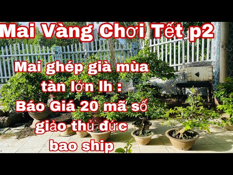 🔴 Hết Hàng 🔴