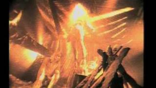 Fields Of The Nephilim - Psychonaut