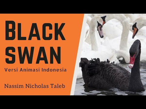 , title : 'Ketidakpastian dari Teori Angsa Hitam | Black Swan'