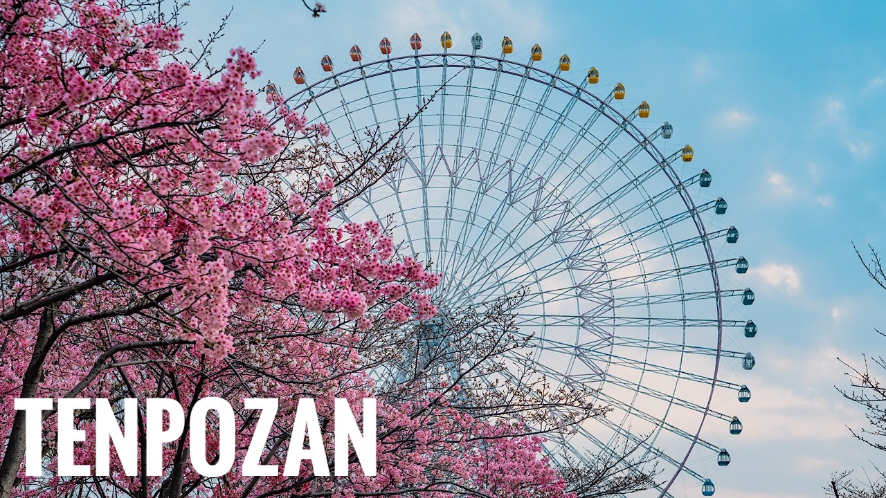 天保山の桜 2026 Osaka Walk- Cherry Blossoms at Tenpozan 4K HDR Super Takumar 55mm F1.8