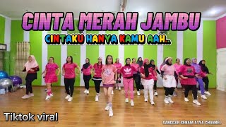 Download lagu CINTAKU HANYA KAMU AAH || CINTA MERAH JAMBU || TIKTOK VIRAL || SENAM KREASI @sanggarsenamatya8917 mp3